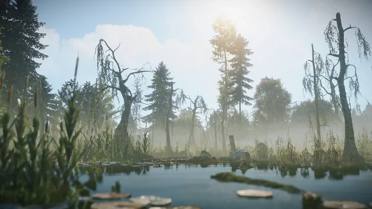 Болота в Rust